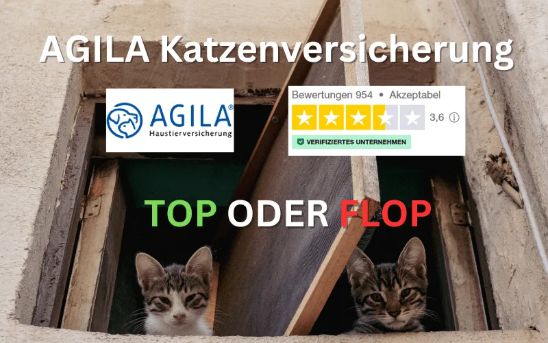 Mehr über den Artikel erfahren Agila Katzenversicherung Erfahrungen & Bewertung