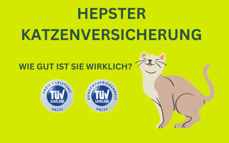 Mehr über den Artikel erfahren Hepster Katzenversicherung Erfahrungen