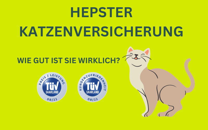 Read more about the article Hepster Katzenversicherung Erfahrungen