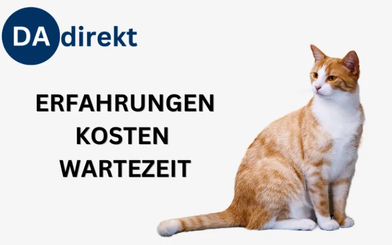 Mehr über den Artikel erfahren DA Direkt Katzenversicherung Erfahrungen