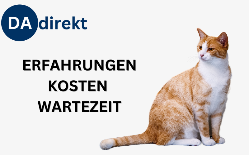 Read more about the article DA Direkt Katzenversicherung Erfahrungen