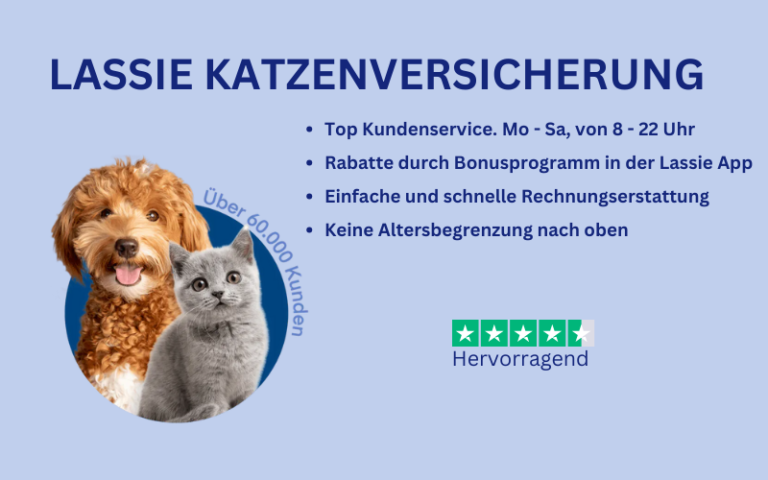 Read more about the article Lassie Katzenversicherung Erfahrungen