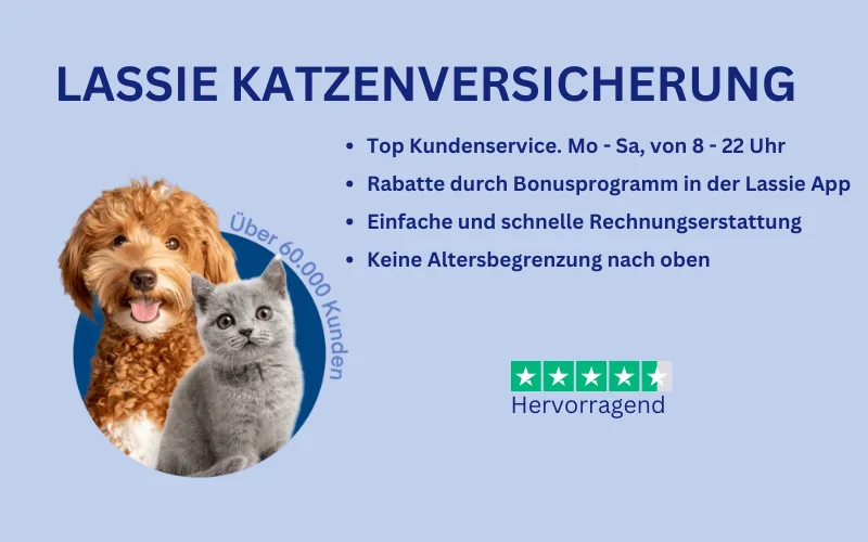 Mehr über den Artikel erfahren Lassie Katzenversicherung Erfahrungen
