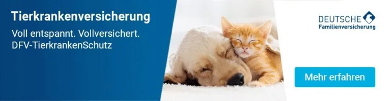Mehr über den Artikel erfahren DFV Katzenversicherung Erfahrungen