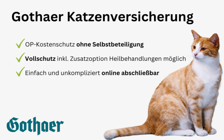 Read more about the article Gothaer Katzenversicherung Erfahrungen