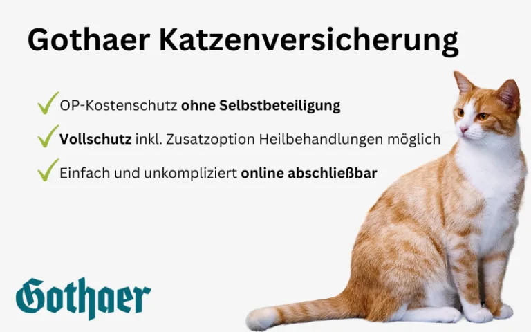 Mehr über den Artikel erfahren Gothaer Katzenversicherung Erfahrungen
