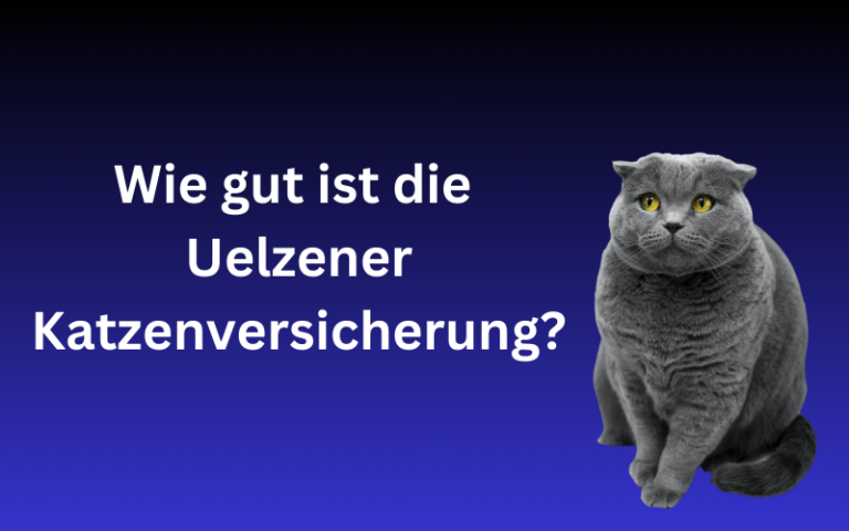 Read more about the article Uelzener Katzenversicherung Erfahrungen