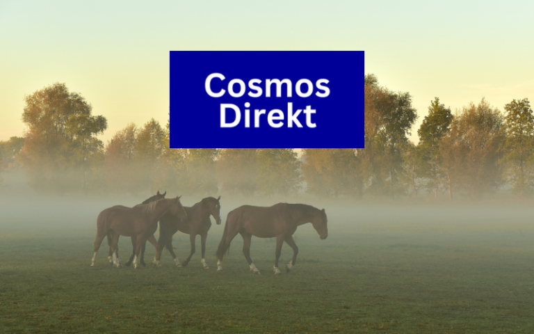 Read more about the article CosmosDirekt Pferdehaftpflicht Erfahrungen