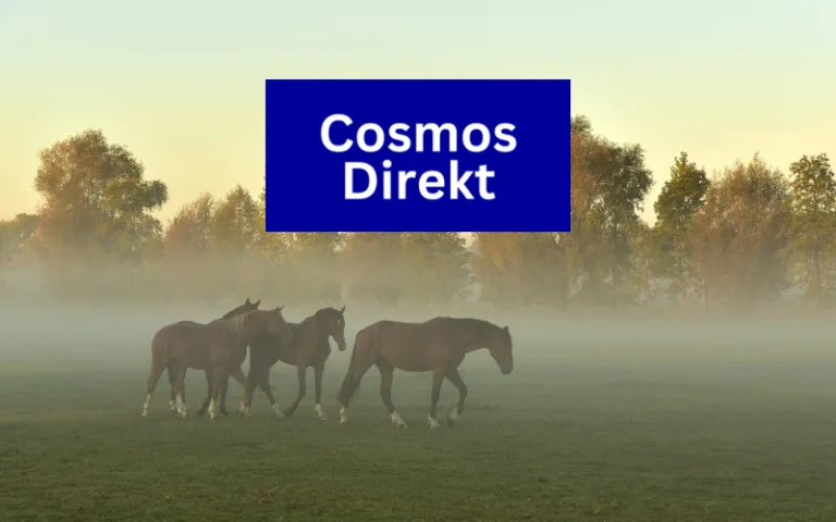 Mehr über den Artikel erfahren CosmosDirekt Pferdehaftpflicht Erfahrungen