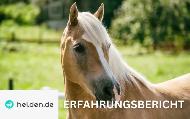Mehr über den Artikel erfahren Helden Pferdehaftpflicht Erfahrungen