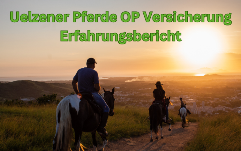 Read more about the article Uelzener Pferde OP Versicherung Erfahrungen