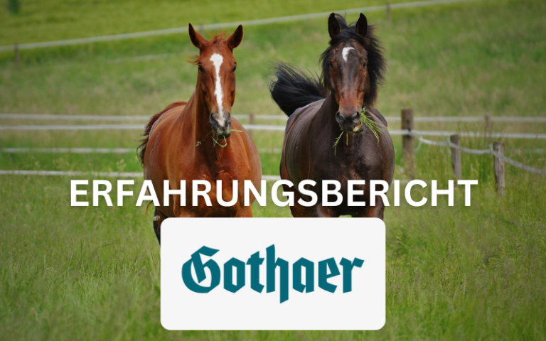 Read more about the article Gothaer Pferdehaftpflicht Erfahrungsbericht