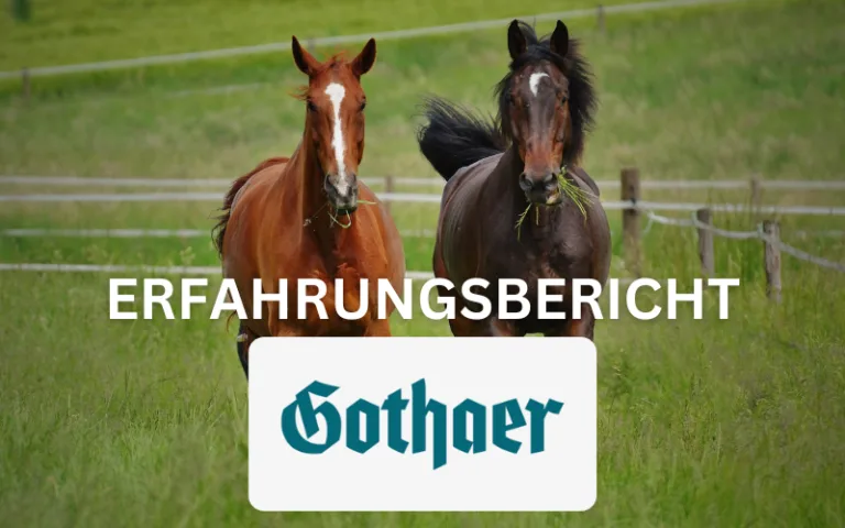 Mehr über den Artikel erfahren Gothaer Pferdehaftpflicht Erfahrungsbericht