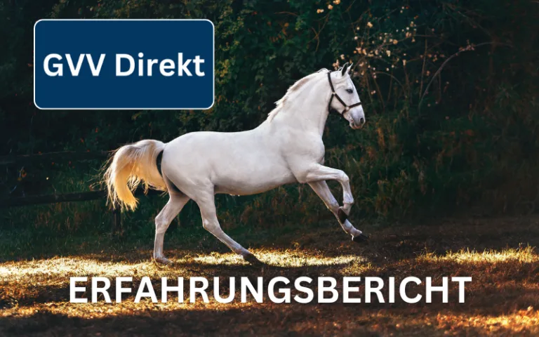 Mehr über den Artikel erfahren GVV Direkt Pferdehaftpflicht Erfahrungsbericht