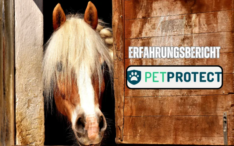 Mehr über den Artikel erfahren PetProtect Pferdeversicherung Erfahrungsbericht