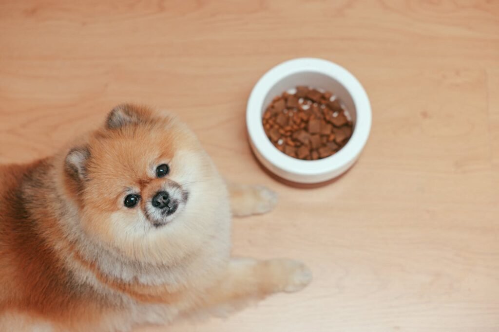 Wie Lange Dauert Sterben Beim Hund tierversicherung-testsieger.de